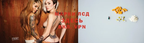 ешки Ельня