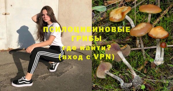 амфетамин Елизово