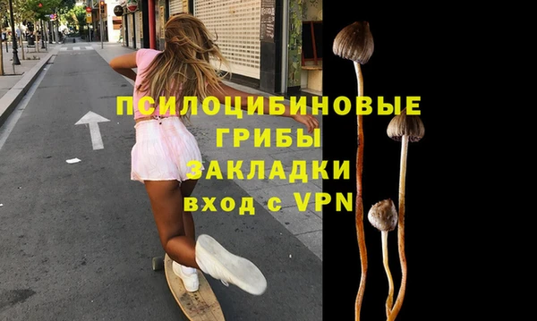 амф Заволжье