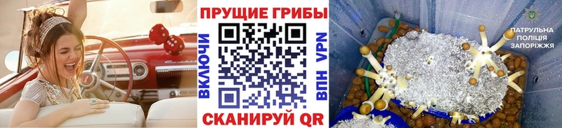 даркнет сайт  Касли  блэк спрут зеркало  Псилоцибиновые грибы ЛСД 